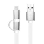 2-1 Lightning/Micro USB to US